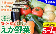 えか野菜 おまかせ5～7種セット 有機JAS認定 株式会社えか自然農場《30日以内に出荷予定(土日祝除く)》千葉県 流山市 オーガニック 無農薬 化学肥料不使用 旬 送料無料