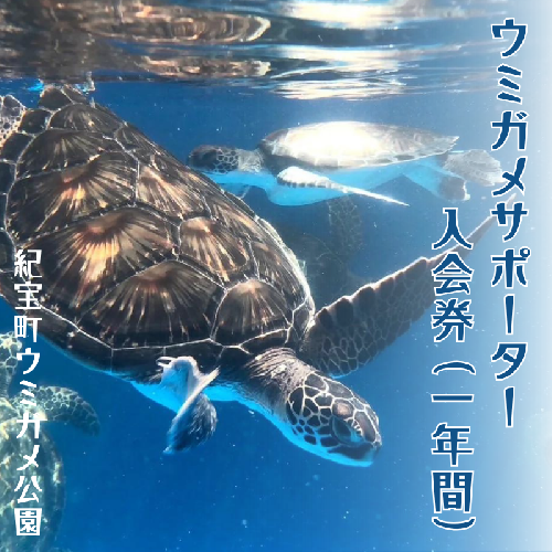 紀宝町ウミガメ公園 ウミガメサポーター（1年間） / ウミガメ サポーター ウミガメ公園 三重県 紀宝町 イベント 餌やり 1390045 - 三重県紀宝町