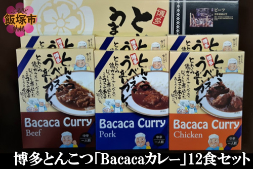 博多とんこつ「Bacacaカレー」12食セット【C-124】 1390204 - 福岡県飯塚市