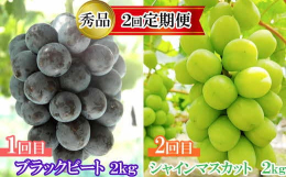 朝どり果実をその日のうちに発送。新鮮な出雲のぶどうです。普段の管理も適期・早めを心掛け、じっくり育てました。農園直送、新鮮なぶどうをぜひお試しください。１回目●ブラックビート：藤稔とピオーネを掛け合わ