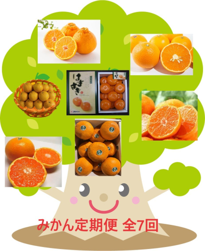 DV146_【計７回】柑橘好きのための佐賀みかん定期便 1390636 - 佐賀県みやき町