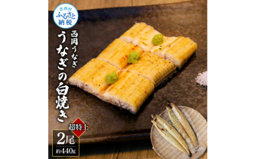 KGP041　高知ブランド鰻「西岡うなぎ」《超特上》うなぎの白焼き2尾セット（約440g） オリジナルタレ・山椒付き 国産 ウナギ 鰻 冷凍配送 高知県産 うな重 丼 特大 自宅用 家庭用 1390652 - 高知県芸西村