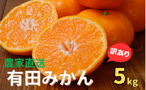 【訳あり】農家直送  有田みかん 約5kg ご家庭用 サイズ混合 ※2024年11月中旬から2025年1月中旬までに順次発送予定（お届け日指定不可）※北海道・沖縄・離島への配送不可　訳ありみかん 温州みかんイズ混合 訳ありみかん 温州みかん 有機質肥料100% ふるさと納税 柑橘 有田 産地直送【nuk161】 1390721 - 和歌山県すさみ町