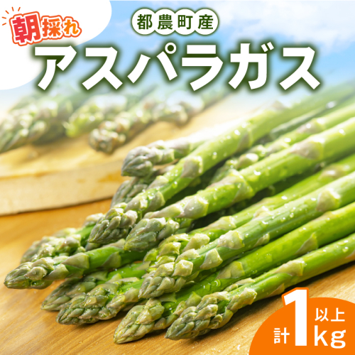 ≪期間限定≫都農町産アスパラガス(計1kg以上) 野菜 旬 朝採れ 国産_T045-009 1390788 - 宮崎県都農町