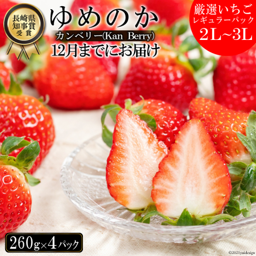 【期間限定発送】CF106 長崎県知事賞受賞【 厳選 いちご 】「 ゆめのか （2L～3L）」 260g × 4パック ＜12月までにお届け＞ 139079 - 長崎県島原市