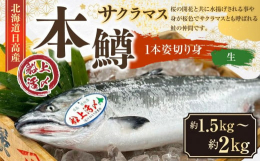 本鱒（サクラマス）1尾を切身にして真空パックでお届けします。味付けをしておりませんので様々な料理にご活用いただけます。4パックに分かれているので必要な分を解凍後にご使用ください。本鱒は桜の開花と共に水