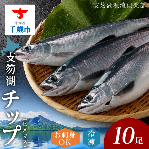 支笏湖チップ（マル・冷凍）×10尾 北海道 魚 冷凍 鮭 鱒 支笏湖 ヒメマス 千歳 支笏湖源流倶楽部 1391032 - 北海道千歳市