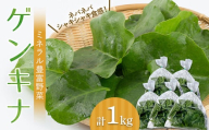 【ミネラル豊富野菜】 ゲンキナ 1kg F20C-948