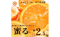 JAにしうわの季節の柑橘(みつる共選「蜜る」約2.5kg)＜C08-74＞【1447980】