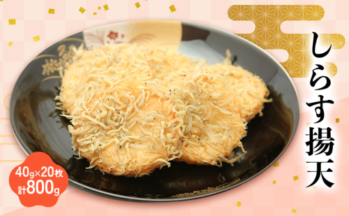 しらす揚天 40g×20枚　計800g 国産 静岡県 練り物 おつまみ おでん 煮物 食材 料理 食品 1391722 - 静岡県浜松市