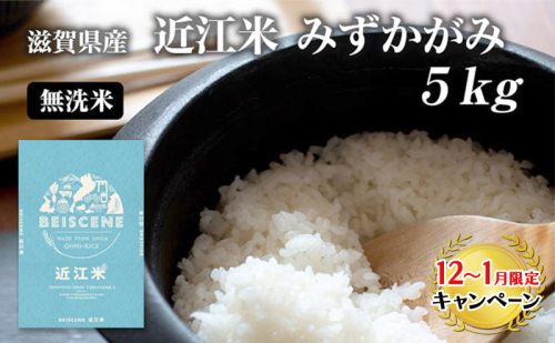 【12月～1月までの限定寄附額】 令和7年産新米 滋賀県豊郷町産　近江米 みずかがみ　無洗米　5kg お米  CP1201 139182 - 滋賀県豊郷町