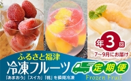 【年3回】冷凍フルーツ定期便（2022年7月～9月）[C6067]