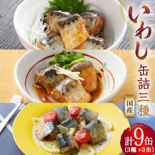 いわし 缶詰 食べ比べ セット 170g×9缶 3種×3 [気仙沼市物産振興協会 宮城県 気仙沼市 20565278] いわし醤油煮 いわし味噌煮 いわしバジルソース 長期保存 非常食 備蓄 防災 1392426 - 宮城県気仙沼市