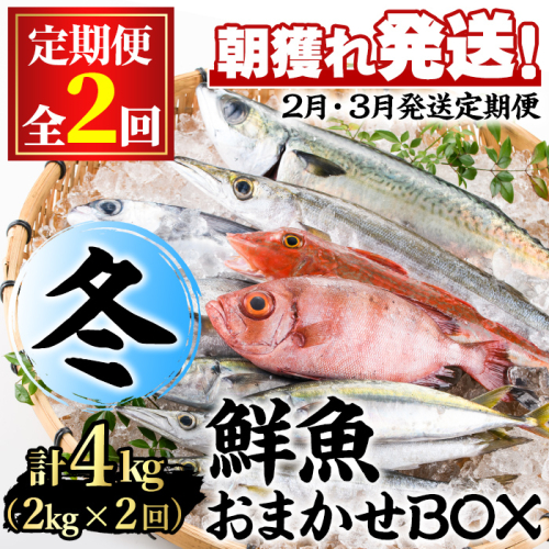 【0301103b】＜定期便・全2回(2月・3月)＞「冬の鮮魚BOX」朝獲れ発送！鮮魚問屋が厳選したおまかせ鮮魚(約2kg程度×2回)魚 魚介類 鮮魚 海鮮 詰め合わせ セット 刺身 天ぷら 煮つけ 塩焼き【江川商店】 139246 - 鹿児島県東串良町