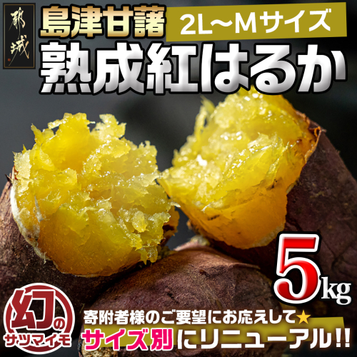 島津甘藷　熟成紅はるか 5kg(2L～M)_LD-A701