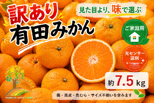 【訳あり】有田みかん 7.5kg | 農家直送 訳あり ご家庭用 サイズ混合 光センサー選別 温州みかん みかん 訳あり わけあり 家庭用 1393130 - 和歌山県美浜町