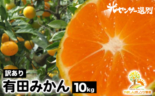 【訳あり】有田みかん 10kg | 農家直送 訳あり ご家庭用 サイズ混合 光センサー選別 温州みかん みかん 訳あり わけあり 家庭用 ※2025年11月中旬～2026年1月上旬頃に順次発送予定 ※北海道・沖縄・離島への配送不可 1393131 - 和歌山県美浜町