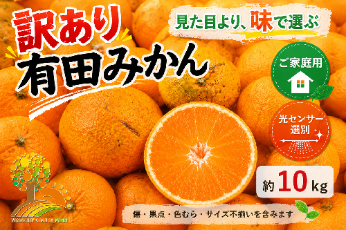 【訳あり】有田みかん 10kg | 農家直送 訳あり ご家庭用 サイズ混合 光センサー選別 温州みかん みかん 訳あり わけあり 家庭用 1393131 - 和歌山県美浜町