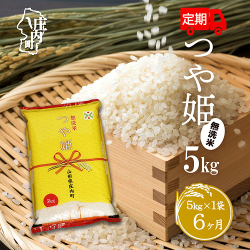 ＜12月下旬発送＞庄内米6か月定期便！つや姫無洗米5kg（入金期限：2024.11.25） 1393189 - 山形県庄内町