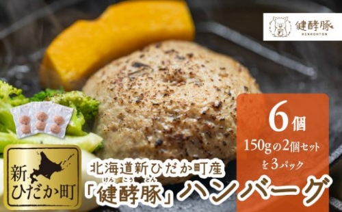 北海道産 健酵豚 ハンバーグ 計 900g (150g ×6個)  139336 - 北海道新ひだか町