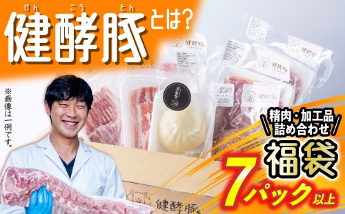 北海道産 健酵豚 お楽しみ 加工品 あり 福袋 7パック以上 139337 - 北海道新ひだか町