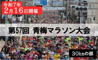 マラソン 東京 第57回 青梅マラソン大会 30キロの部 出場権利 （1名分） 体験 出走権 参加券 チケット マラソン大会 スポーツ 先着 多摩川 青梅市 東京都 [№5714-0249]