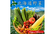 【2回定期便】【野菜ソムリエ厳選】北海道小樽産 旬の活野菜セットL 10種以上 120サイズ