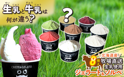 北海道産 生乳 ジェラート アイス 8個 ジェラートセット 139372 - 北海道新ひだか町