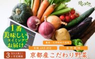 ＜3か月定期＞【緑のゆうき】購入頂いた野菜の売上の１％が社会への応援に　京都産こだわりの野菜（有機野菜、栽培期間中農薬・化学肥料不使用など）の一番美味しいタイミングで収穫したセット