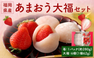 【アフター保証】あまおう大福セット【2024年12月上旬～2025年4月上旬発送予定】 いちご大福 イチゴ 苺 大福 白あん