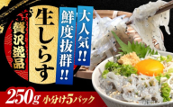 生しらすのプリッした食感と塩味が抜群！生しらす50gX5個 冷凍 シラス しらす 鮮魚 ギフト 海鮮丼 広島県産 江田島市/三島水産株式会社 [XCN002]