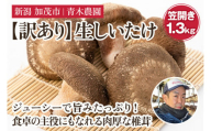 【訳あり】生しいたけ 笠開き 約1.3kg（24～40個）《10月中旬から順次発送》 品評会で金賞受賞！ きのこ 訳あり しいたけ 椎茸 特大 食べ応えある大きさ 肉厚で旨味たっぷり！ 加茂市 青木農園