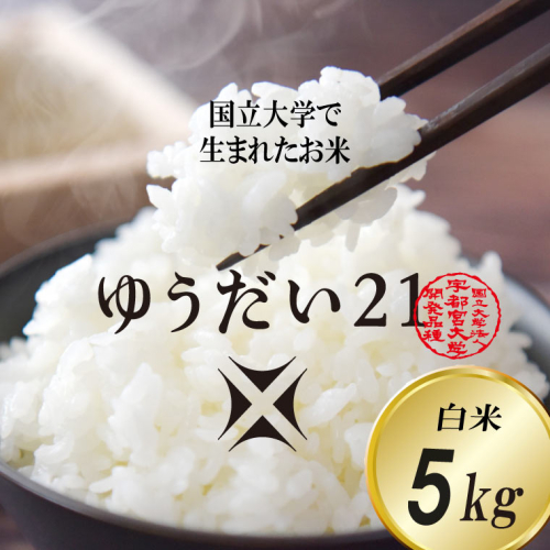 TVでも話題のお米 ゆうだい21 ＼令和7年産／【数量限定】あい　farm　やなぎのお米　令和7年産 ゆうだい21 白米 5kg | 栃木県 益子町 ふるさと納税 お米 米 5kg 白米 (DQ006) 1394476 - 栃木県益子町