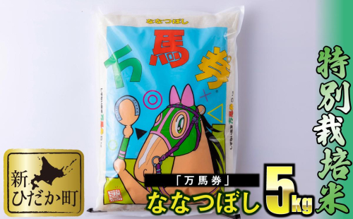北海道産 特別栽培米 ななつぼし 万馬券 5kg 139454 - 北海道新ひだか町
