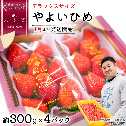 「食べチョクいちごグランプリ2026」味わい部門「ザ・ジューシー賞」受賞 やよいひめ ( 4パック ) 特大 デラックス サイズ 【 2026年1月から発送開始 】 ( 茨城県共通返礼品 : 常陸太田市 )約 300g × 4 パック やよいひめ ヤヨイヒメ 弥生姫 いちご 数量限定 果物 くだもの フルーツ 苺 イチゴ 期間限定 1394943 - 茨城県牛久市