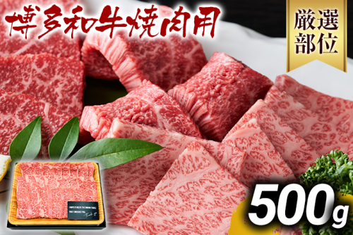 博多和牛焼肉用 500g 黒毛和牛 お取り寄せグルメ お取り寄せ お土産 九州 福岡土産 取り寄せ グルメ MEAT PLUS CP019 1394950 - 福岡県大木町