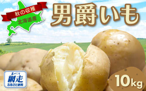 【先行予約】秋の収穫男爵いも 約10kg詰め（2025年9月15日以降発送） ABAO081 1395239 - 北海道網走市