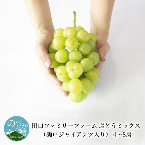 【田口ファミリーファーム】ぶどうミックス(瀬戸ジャイアンツ入り)4~8房(約3kg~4kg) N053-YZD0141 1395502 - 宮崎県延岡市