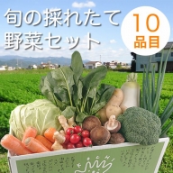 【ふるさと納税】『定期便』野菜詰め合わせセット３ヵ月