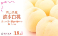 HU006　清水白桃 3.8キロ