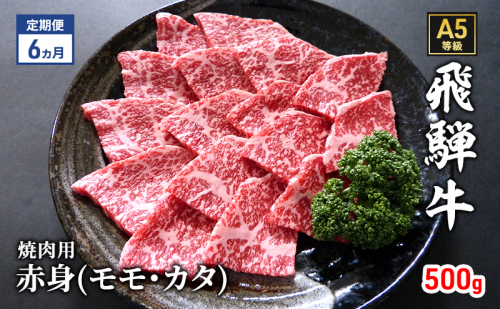 【定期便6ヶ月】牛肉 飛騨牛 焼き肉 セット 赤身 モモ 又は カタ 500g 黒毛和牛 Ａ5 美味しい お肉 牛 肉 和牛 焼肉 BBQ バーベキュー 【岐阜県瑞穂市】 1395833 - 岐阜県瑞穂市