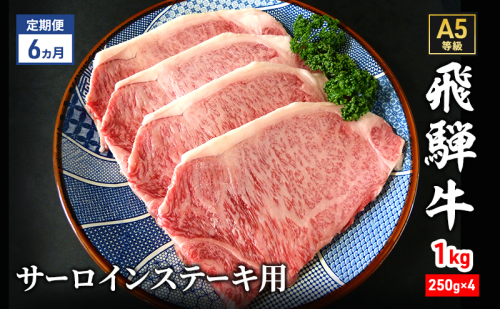 【定期便6ヶ月】牛肉 飛騨牛 サーロイン ステーキ セット 1kg（1枚 約250g×4枚 ） 黒毛和牛 A5 美味しい お肉 牛 肉 和牛 サーロインステーキ 【岐阜県瑞穂市】 1395860 - 岐阜県瑞穂市