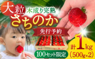 ヒラノイチゴ 500g×2パック 計1kg　いちご　フルーツ　果物　愛西市/平野苺 [AEAY001]
