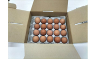 【定期便６回】輝黄卵２０個入り進物箱