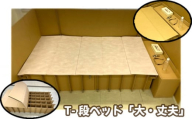No.875 T－段ベッド「大・丈夫」 ／ 段ボール 簡単組み立て 簡易ベッド 神奈川県