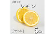 和歌山産 レモン 5kg  【訳あり】 【US1】