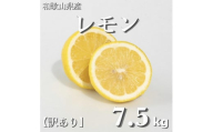 和歌山産 レモン 7.5kg  【訳あり】 【US2】