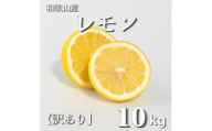 和歌山産 レモン 10kg  【訳あり】 【US3】