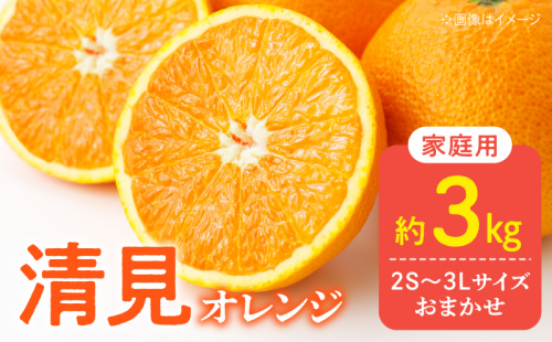 DZ6226_【2026年先行予約】訳あり 家庭用 きよみ 清美オレンジ 和歌山 有田 2S～3Lサイズ混合 3kg 1396230 - 和歌山県湯浅町