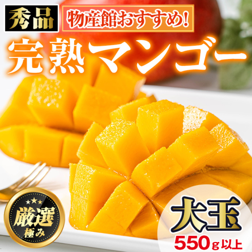 【0145912a】＜秀品・数量限定！先行予約＞南国鹿児島県産の太陽の恵み！完熟マンゴー(大玉1個・550g以上) 果物 フルーツ 果実 デザート 国産 冷蔵 【東串良物産館ルピノンの里】 139627 - 鹿児島県東串良町